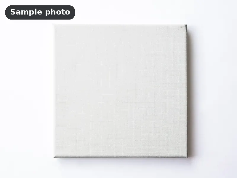 Sample photo: a blank white stretched canvas. Not Platinum Prints work.