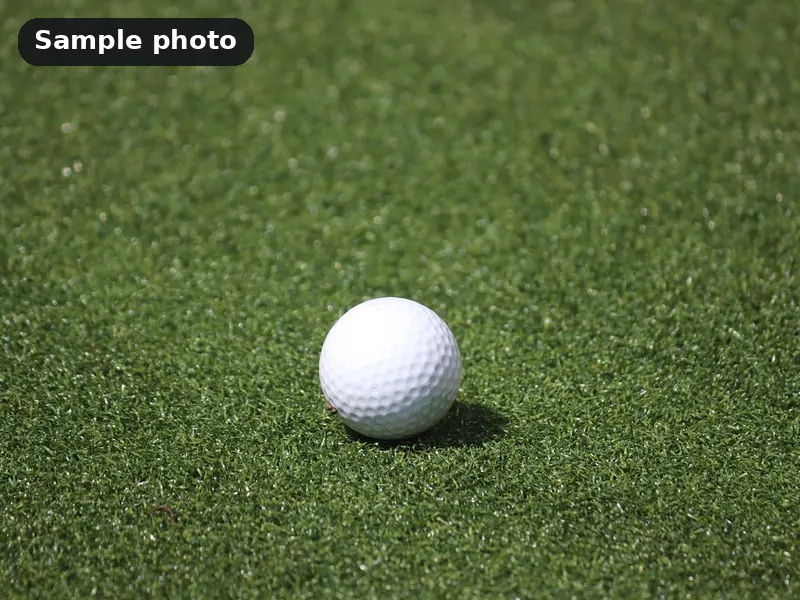 Sample photo: a plain white golf ball on artificial turf. Not Platinum Prints work.