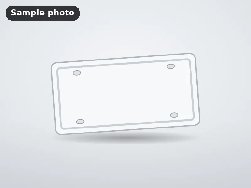 Sample photo: a blank white novelty licence plate. Not Platinum Prints work.