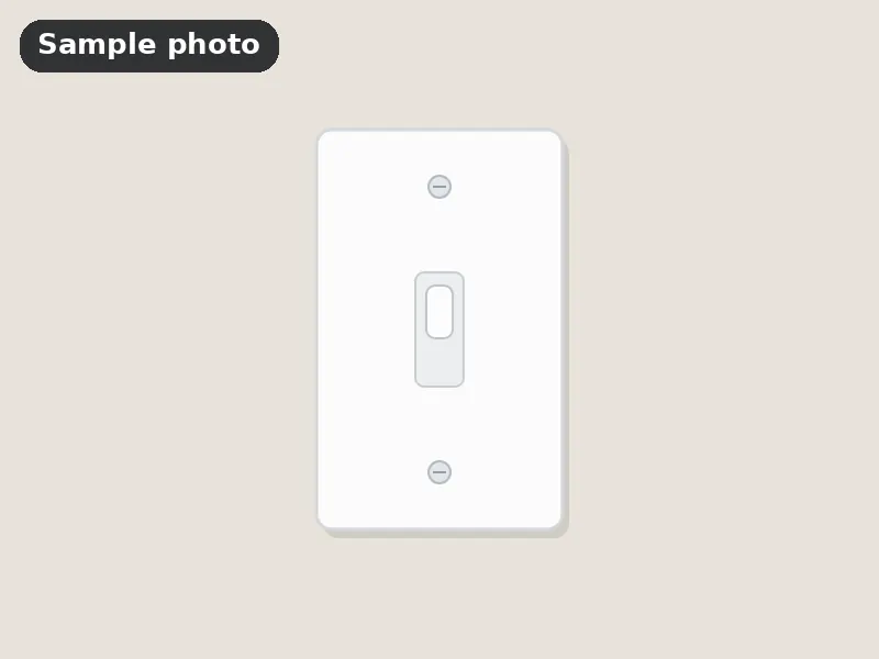Sample photo: a plain white light switch cover. Not Platinum Prints work.