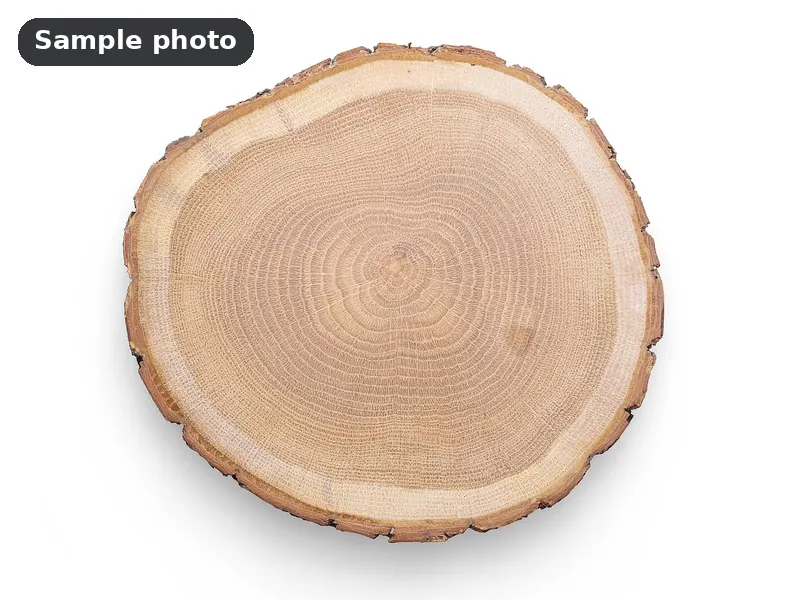 Sample photo: a plain round wood slice. Not Platinum Prints work.